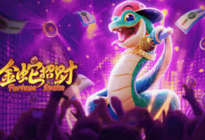 娱乐星空下载app2024最新版